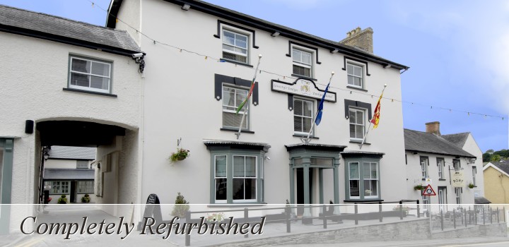 Emlyn Arms Hotel Exterior Picture